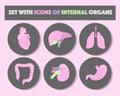 Isolated Icons with internal organs in vector illustration.